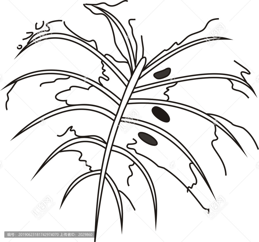 植物花卉鯉魚圖案