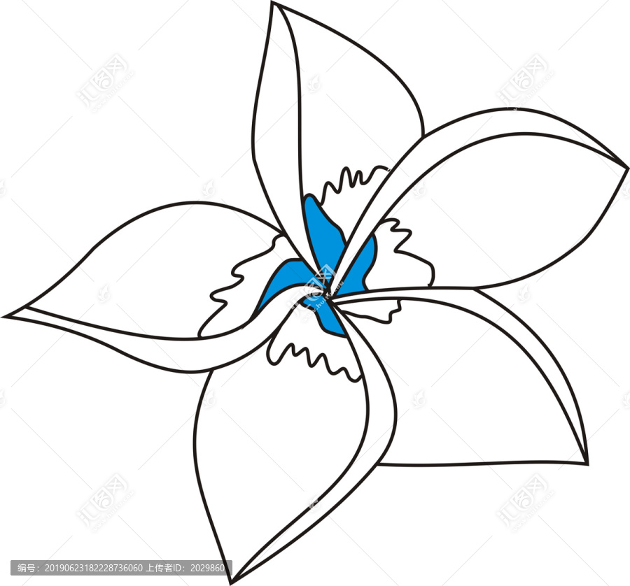 植物花卉圖案