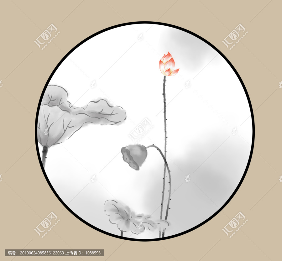 荷花