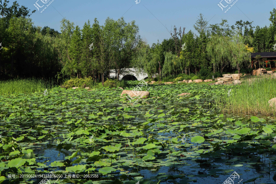 夏至小暑