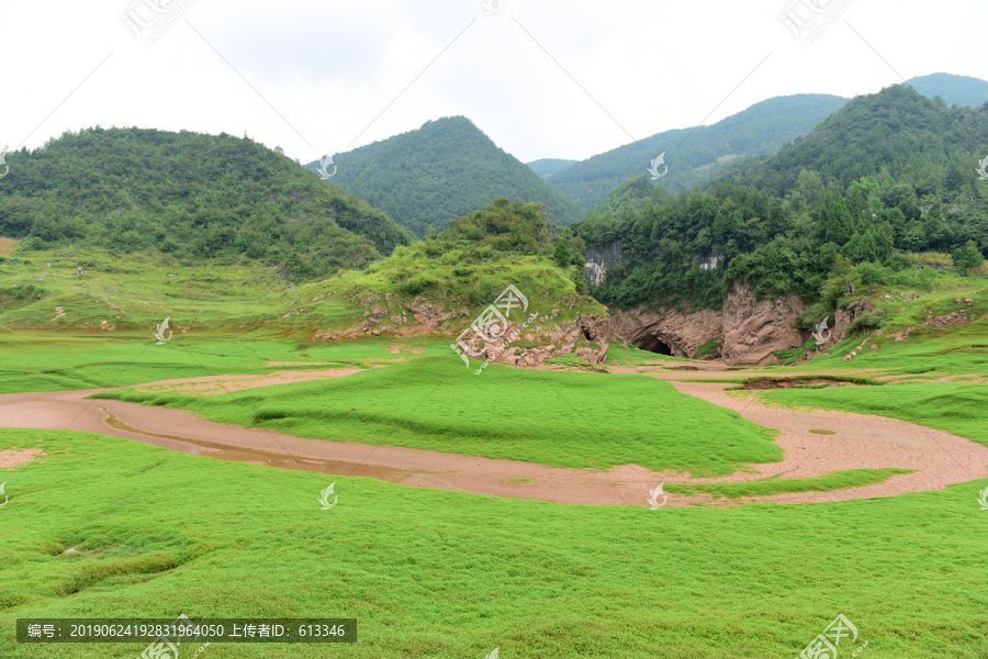 草甸草地