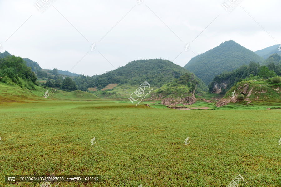 草甸草地放牧