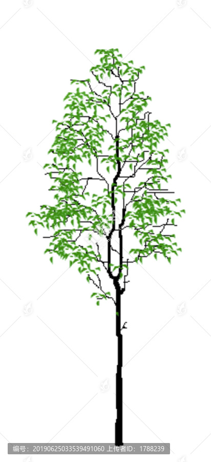 詩意樹木