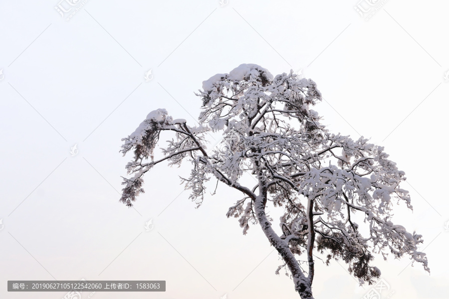 雪景