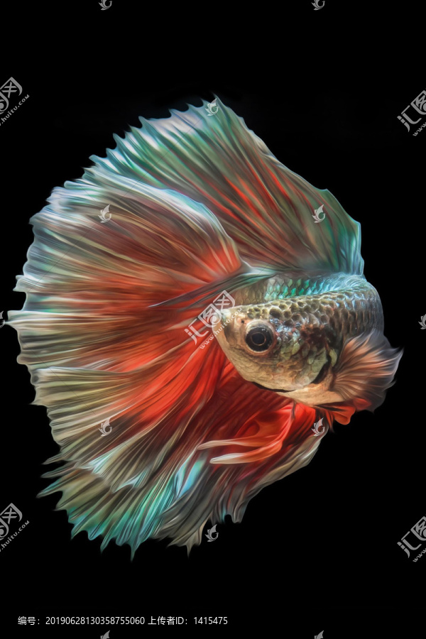 吉祥魚