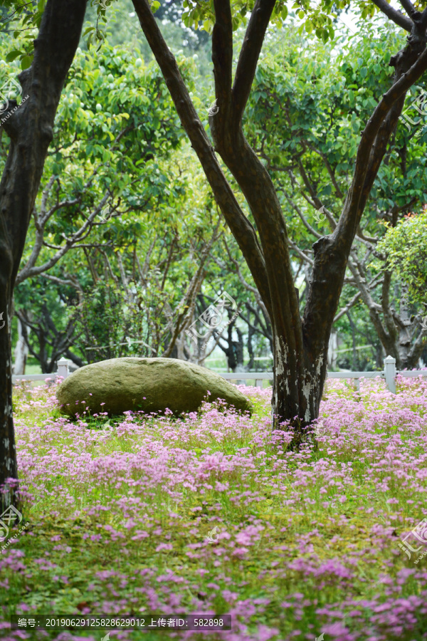 花丛