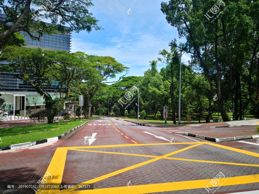 新加坡国立大学道路