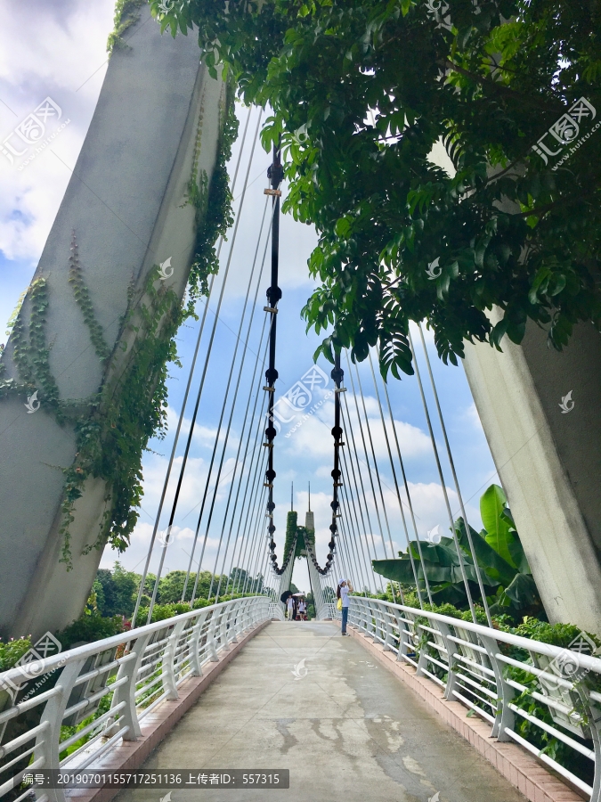 海珠湿地公园飞龙桥