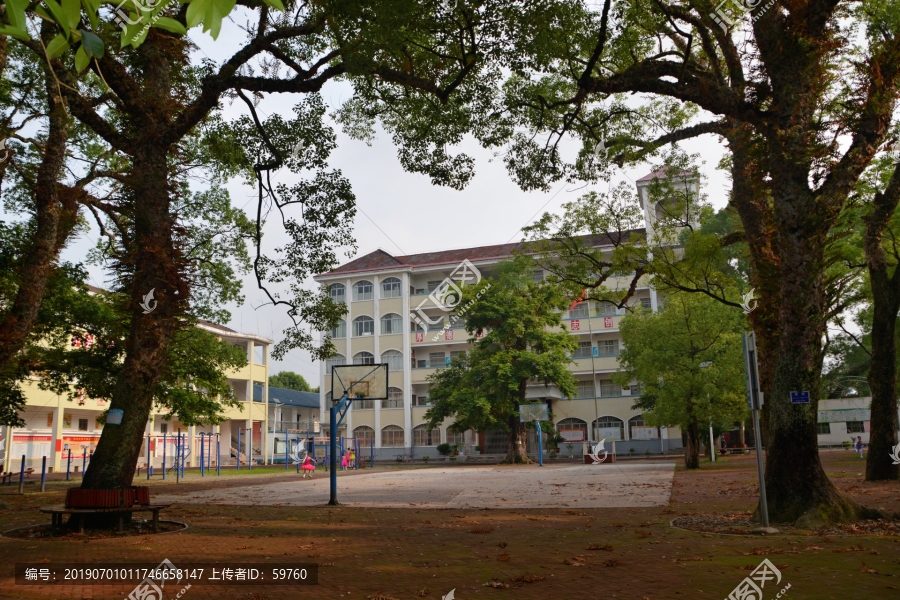 中学校园风景