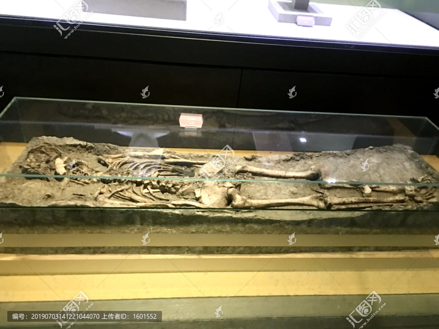 馬家浜人遺骸