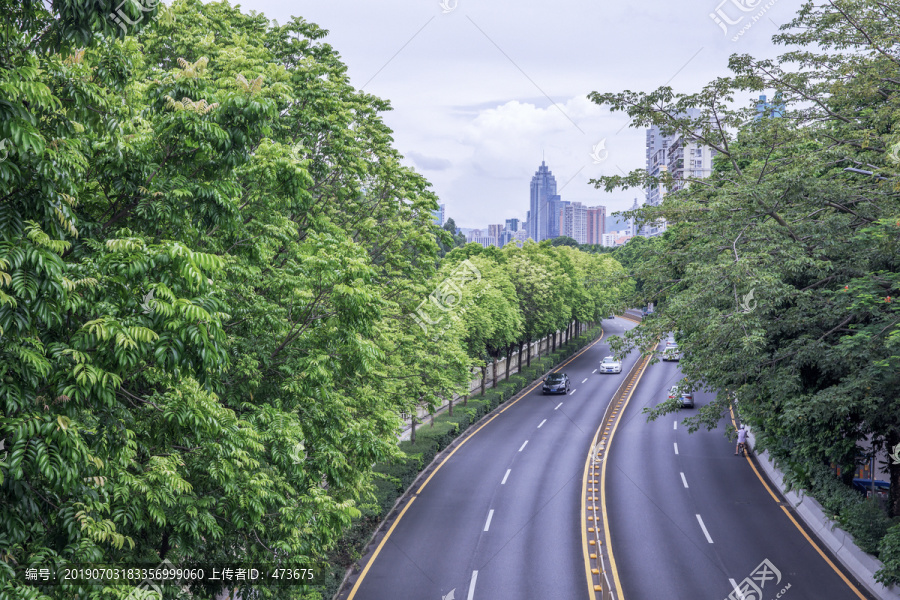 道路