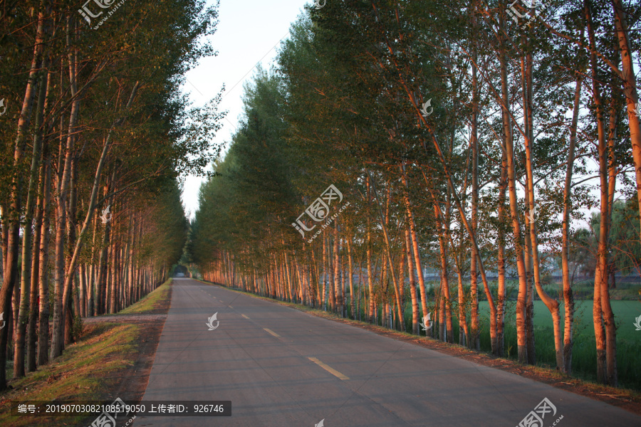 道路