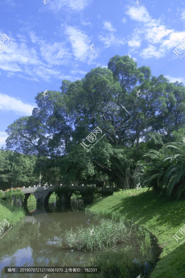 小河边风景