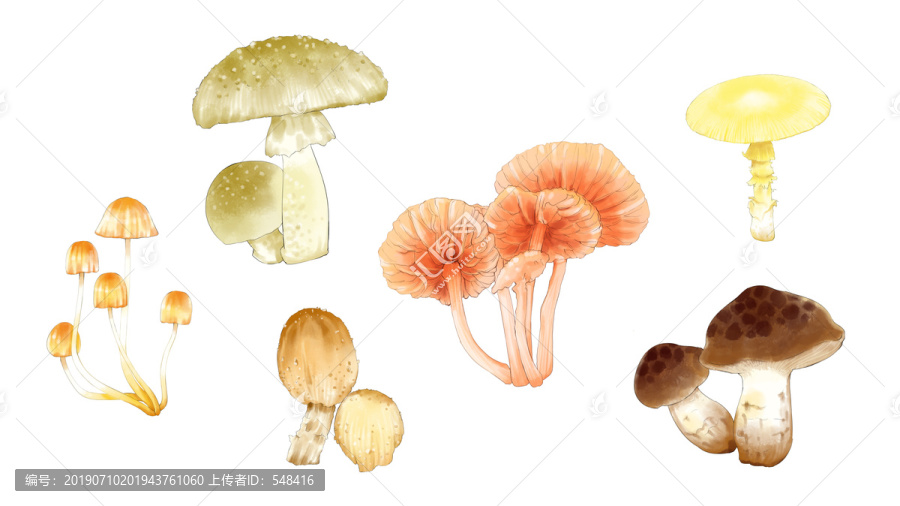 淡彩蘑菇