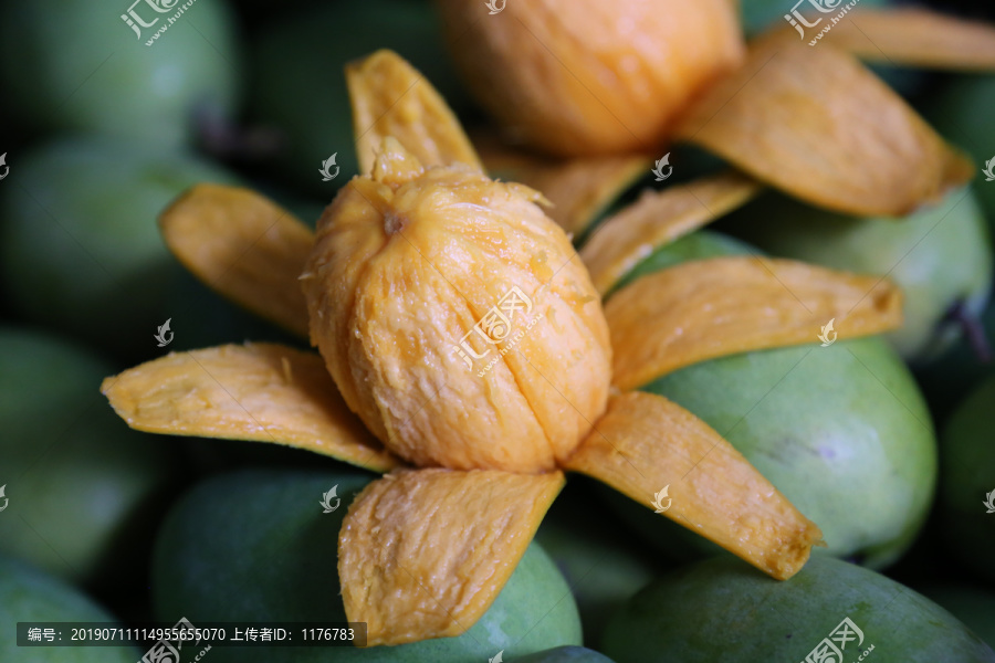 雞蛋芒