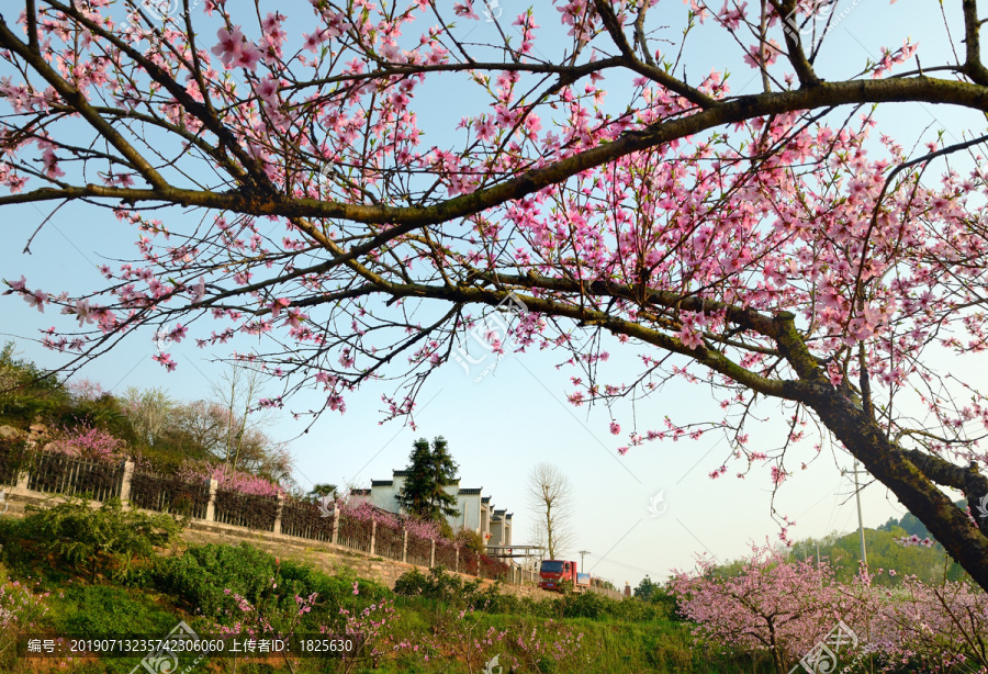 山乡风景