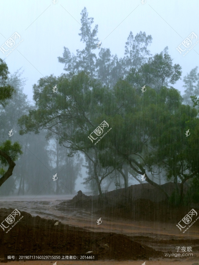 大雨滂沱