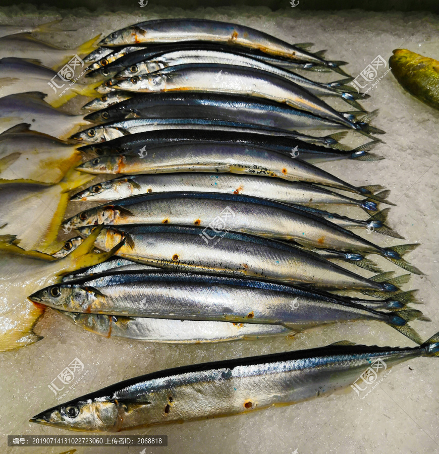 秋刀魚