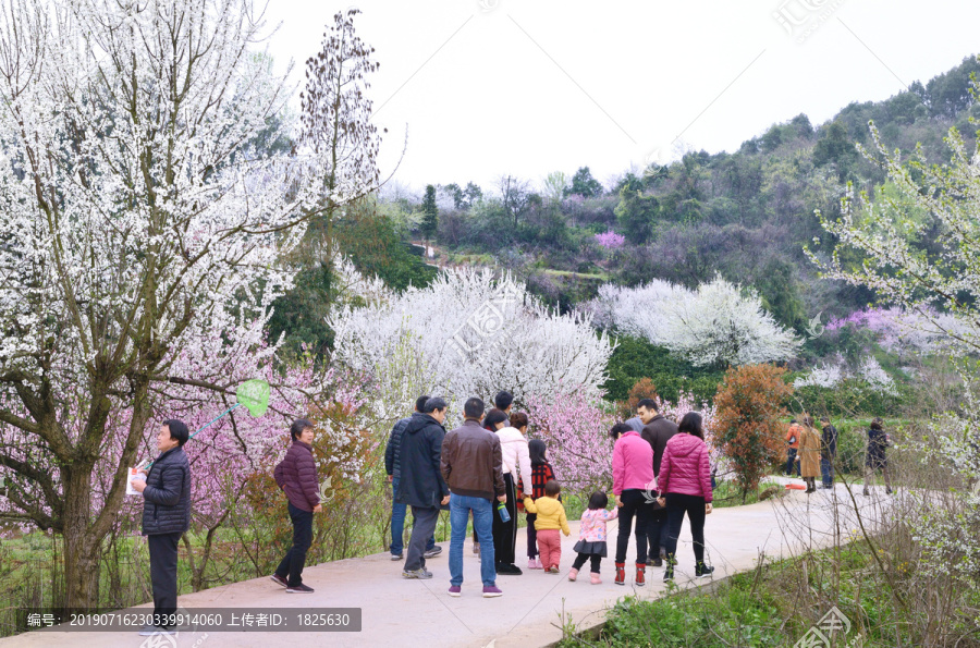 美丽乡村花满园