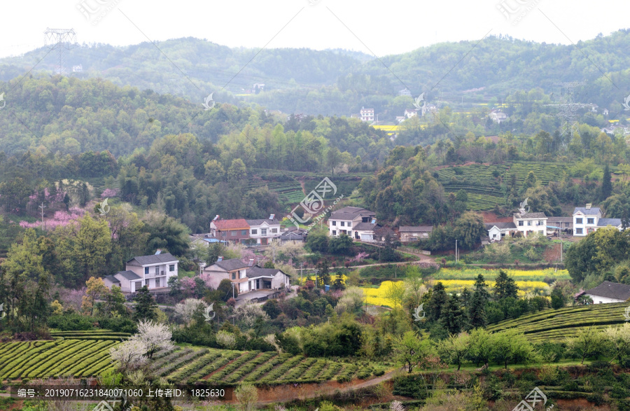 桃李花香美丽乡村