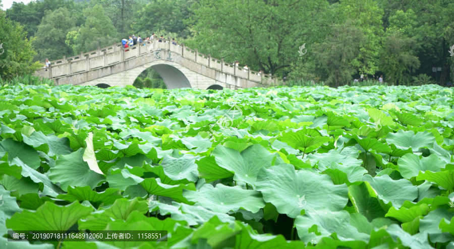 生态游