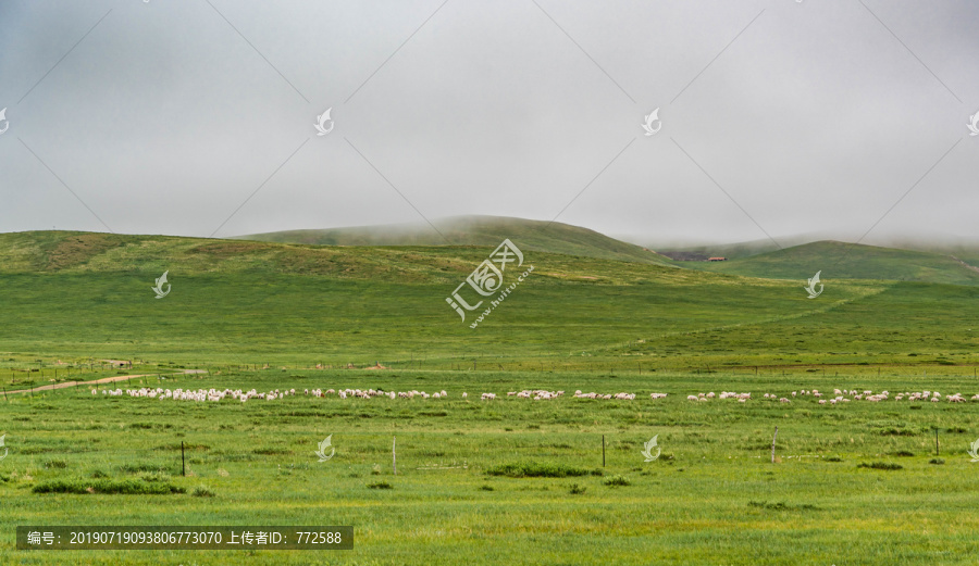 内蒙古西乌珠穆沁旗草原风景