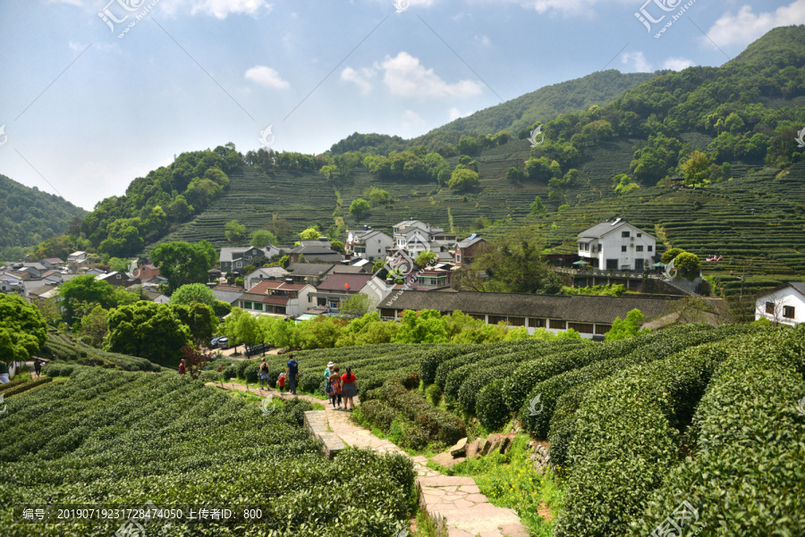 西湖龙井村