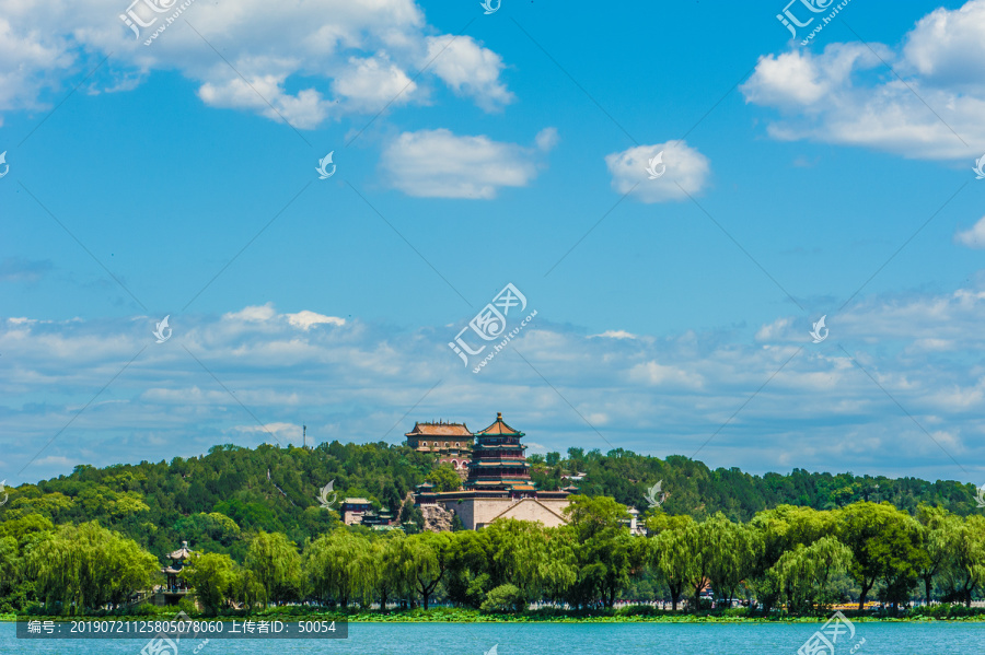 北京颐和园夏日湿地风光