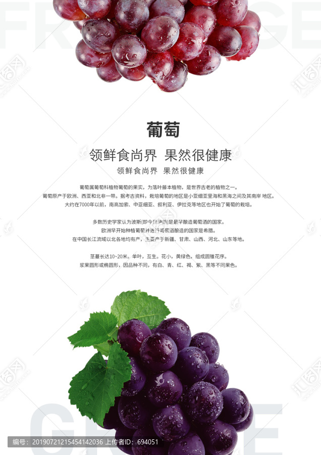 葡萄海報單張