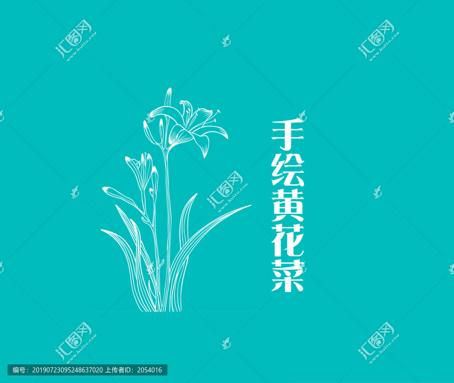 手绘黄花菜