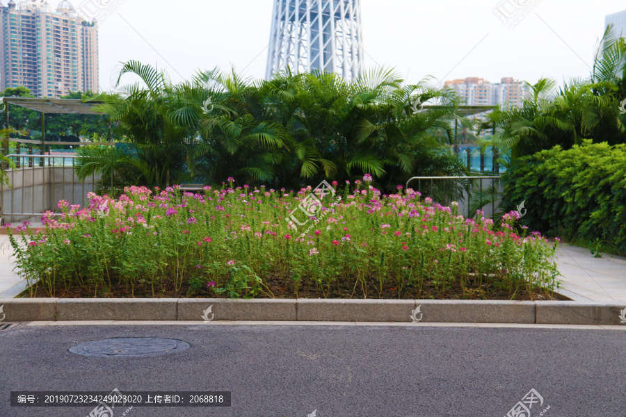 花花草草