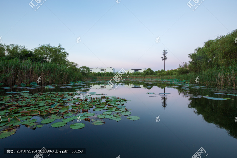 湿地沼泽