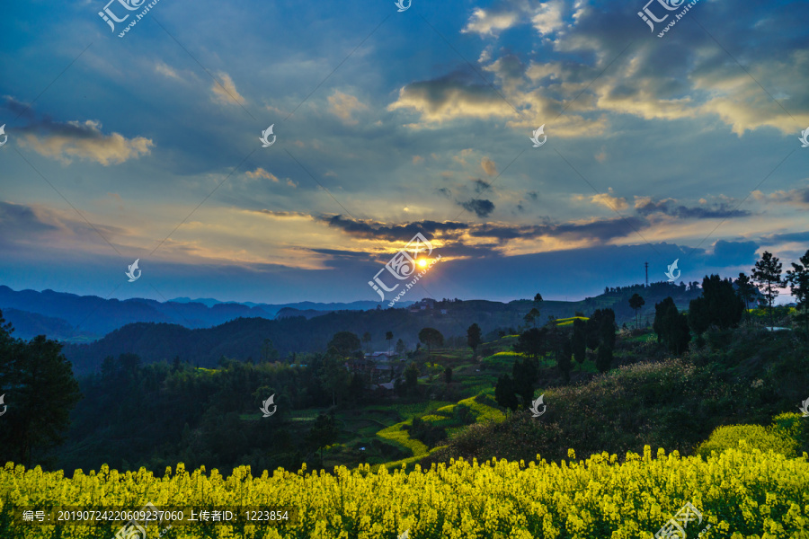 油菜花夕阳天空晚霞