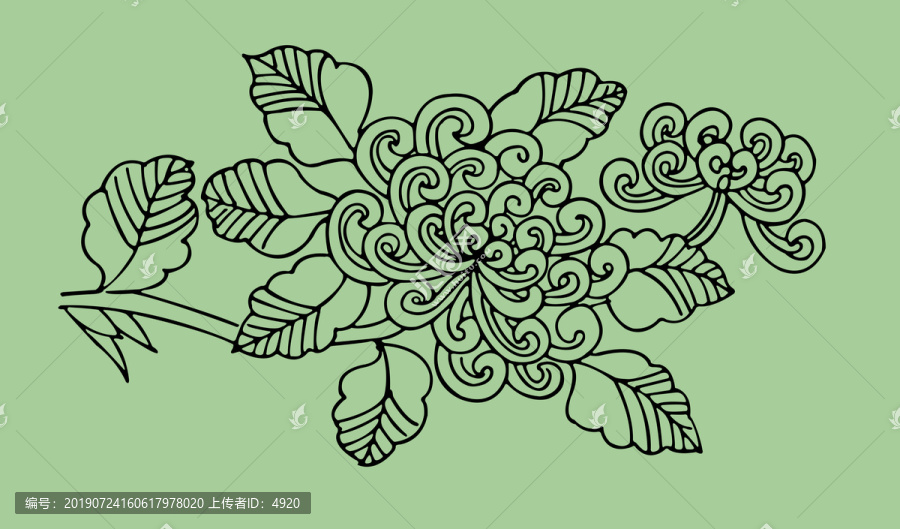 菊花線描稿