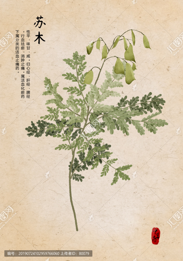 蘇木