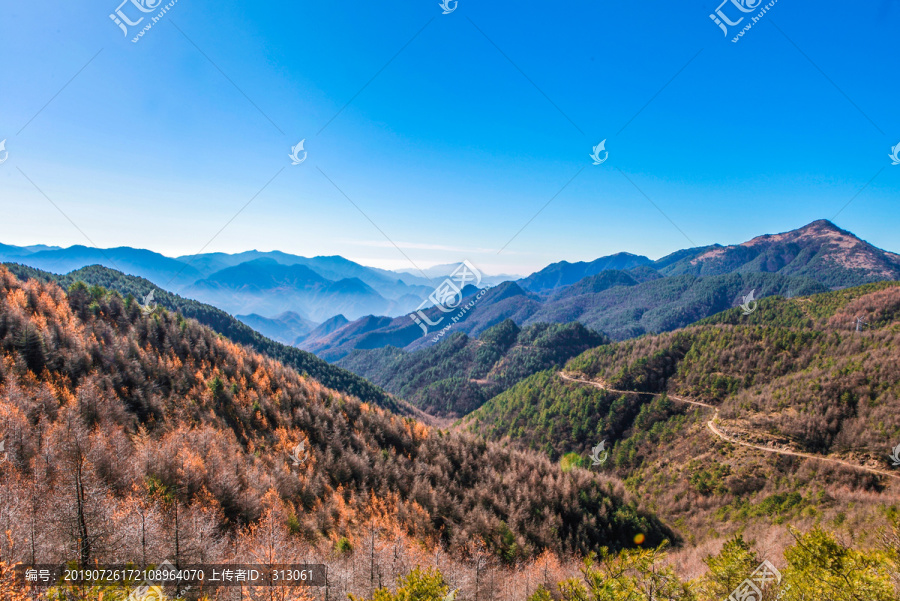 神农架秋景