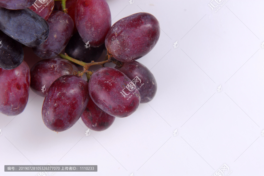 红乳葡萄