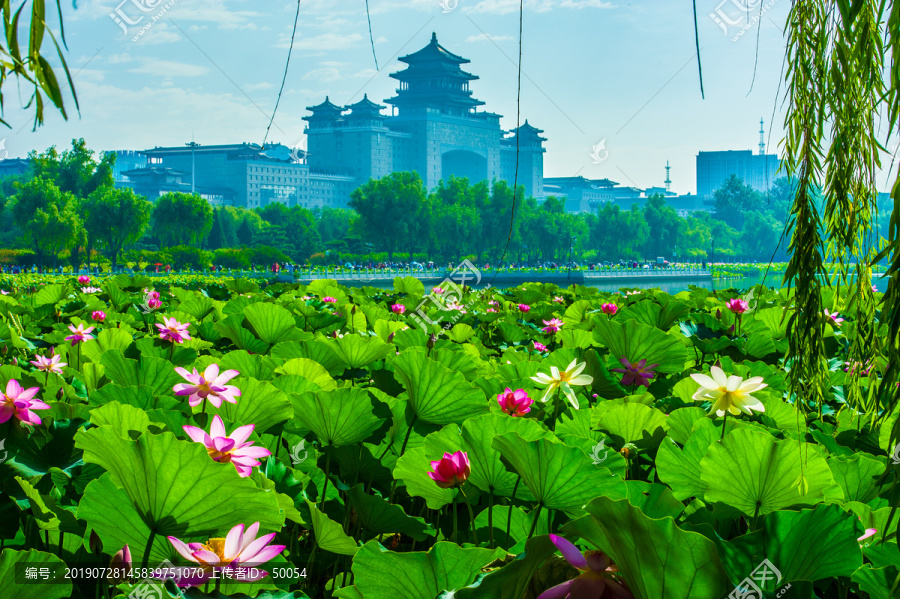 北京莲花池北京西客站