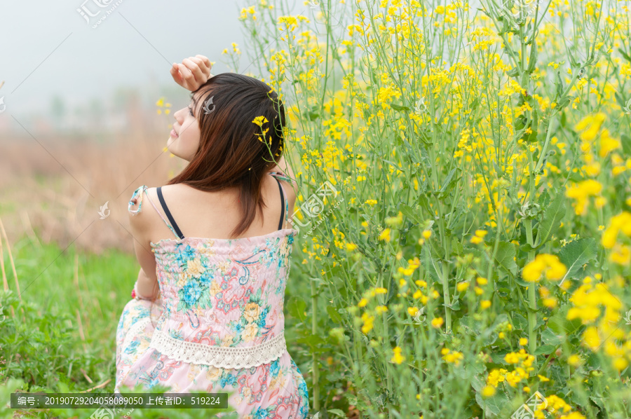 油菜花美女