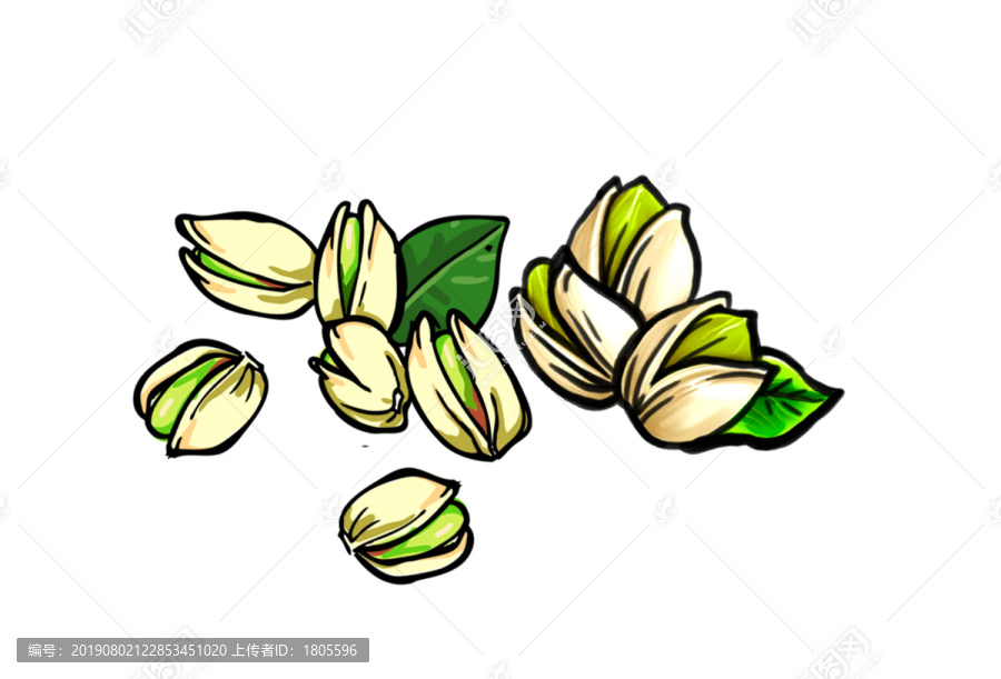 開心果插畫