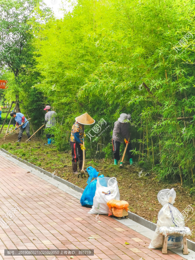 草皮种植