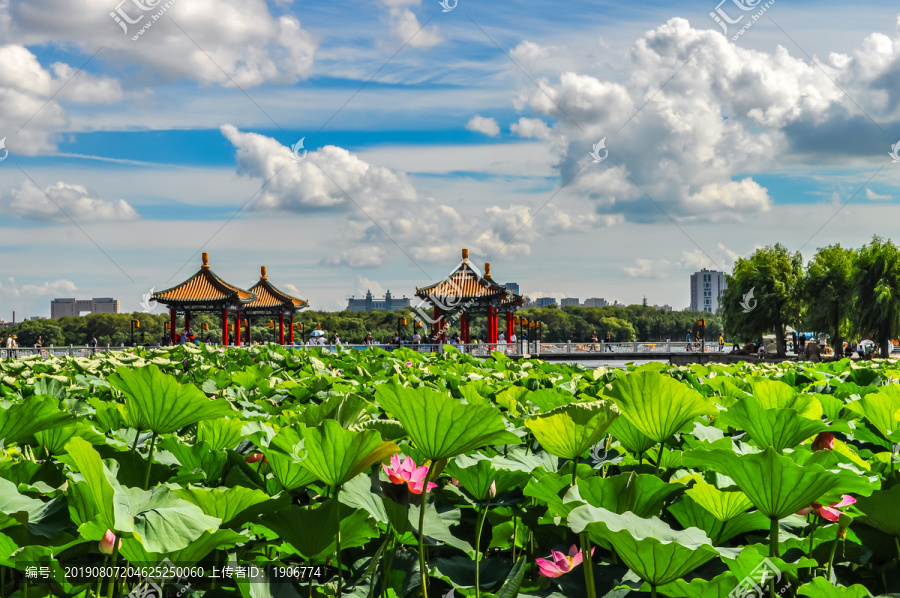 中国长春南湖公园景观