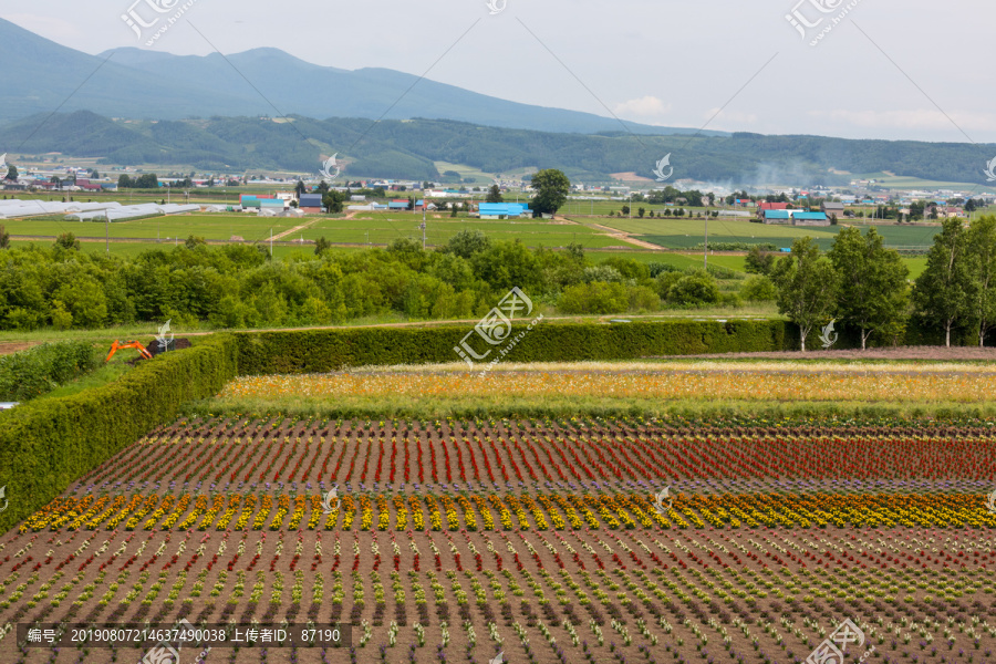 花田