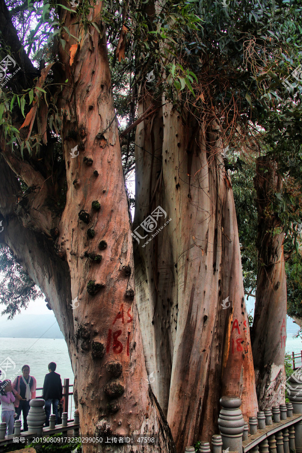 昆明旅游海埂公园