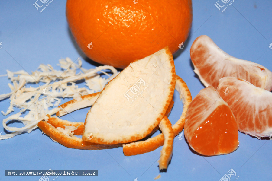 橘子解剖图