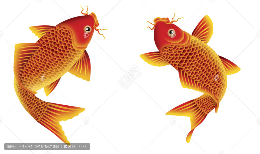 紅魚