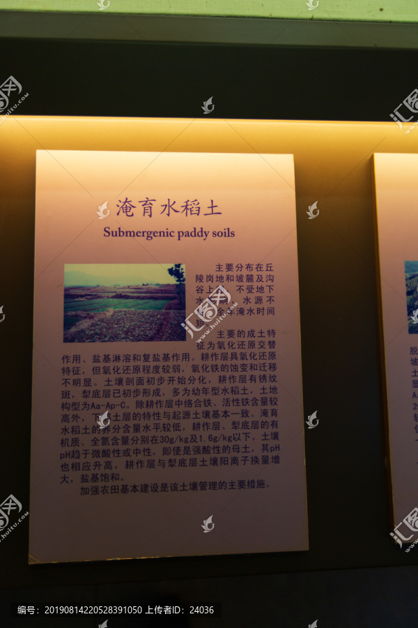 中国农业博物馆淹育水稻土标本