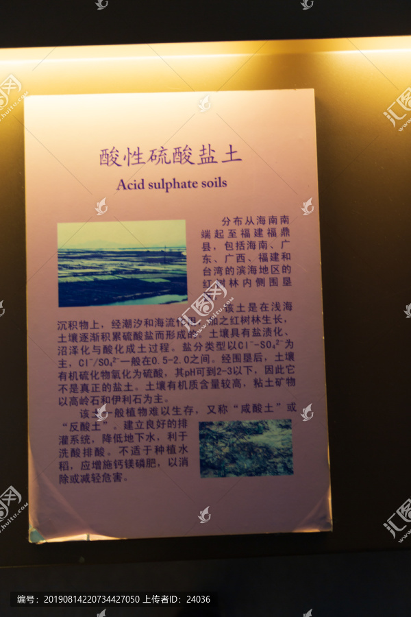 中国农业博物馆酸性硫酸盐土标本