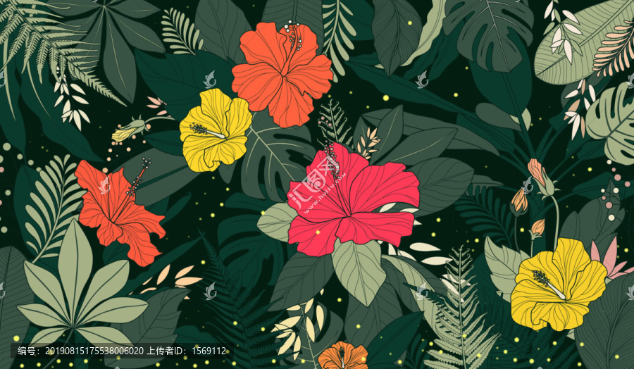 朱瑾花木槿花植物插畫