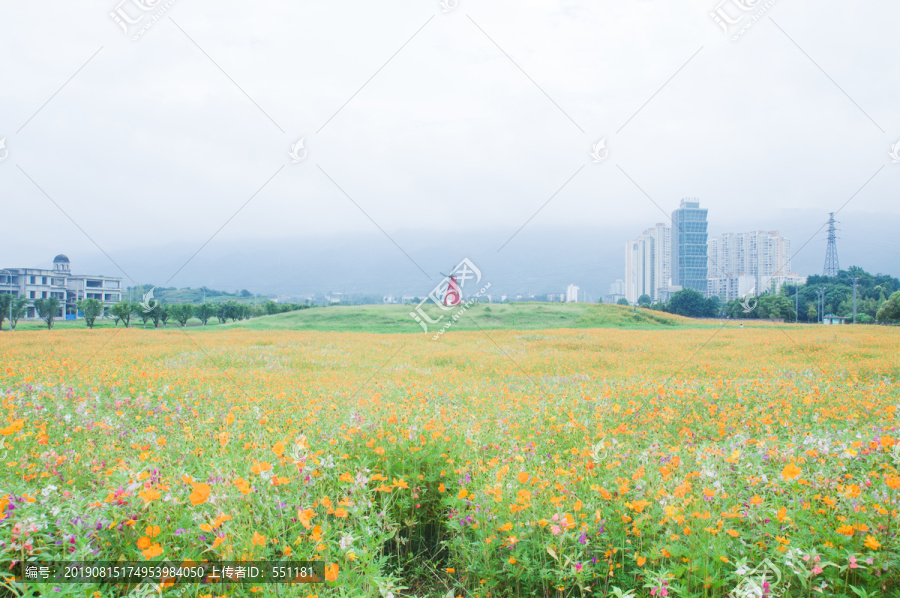 花海